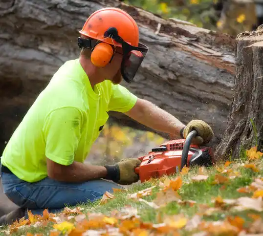 tree services Ballville